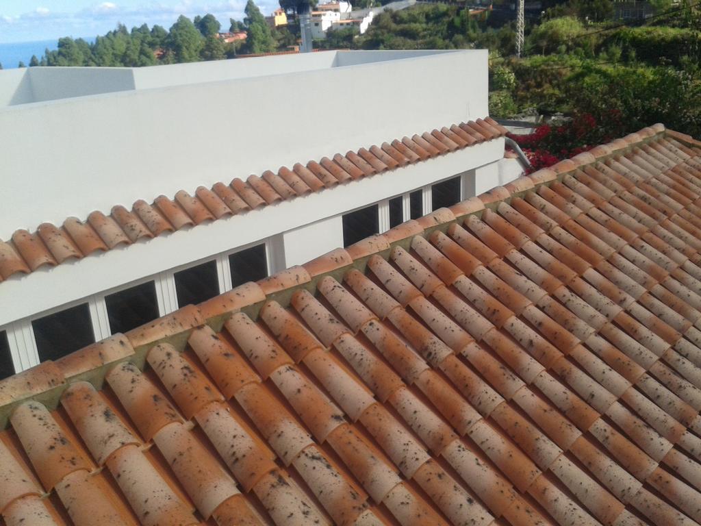 Finca Las Palmeras Icod De Los Vinos Room photo