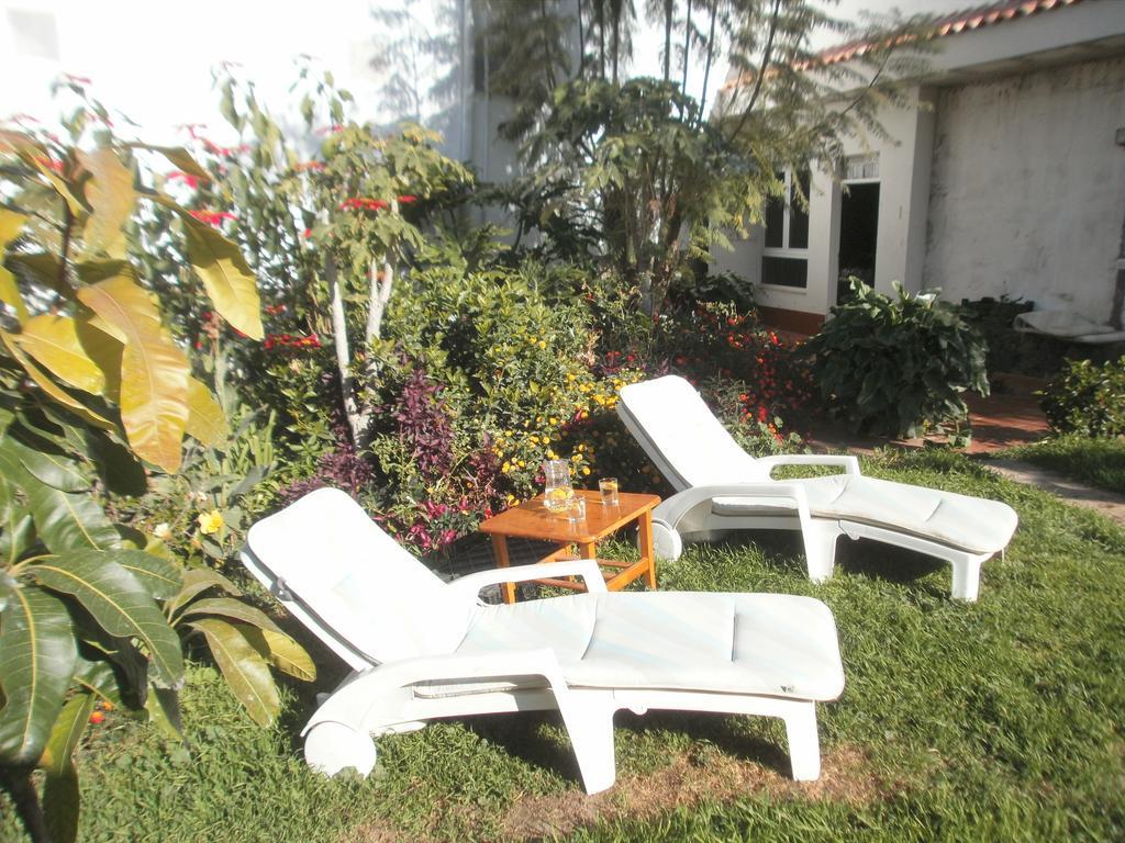Finca Las Palmeras Icod De Los Vinos Exterior photo