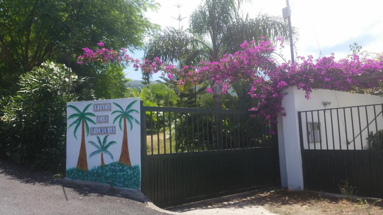 Finca Las Palmeras Icod De Los Vinos Exterior photo